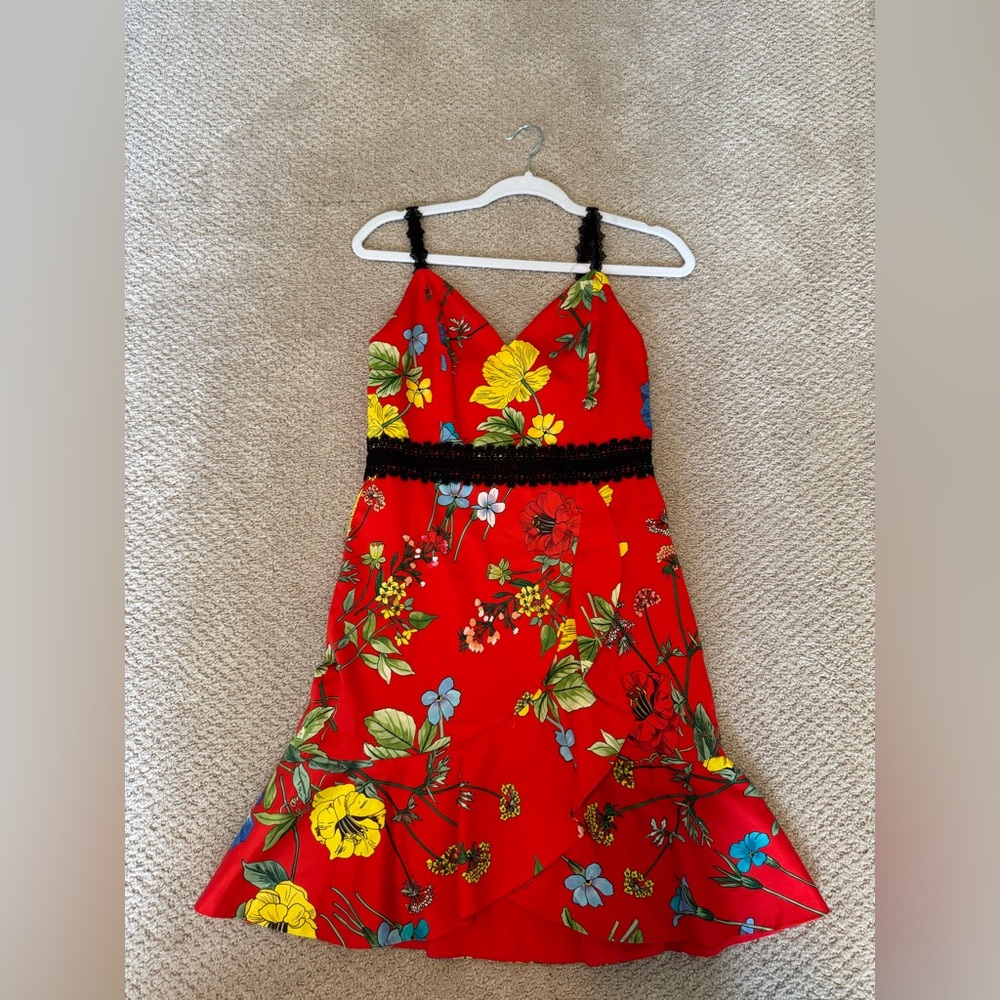 Alice + Olivia Dress